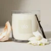 Alo Love Kaars - 60 oz