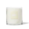 Alo Love Kaars - 60 oz