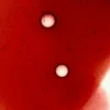 Immunity Rescue Shot - 30 stuks