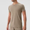 Triumph Raglan-T-shirt - Gravel