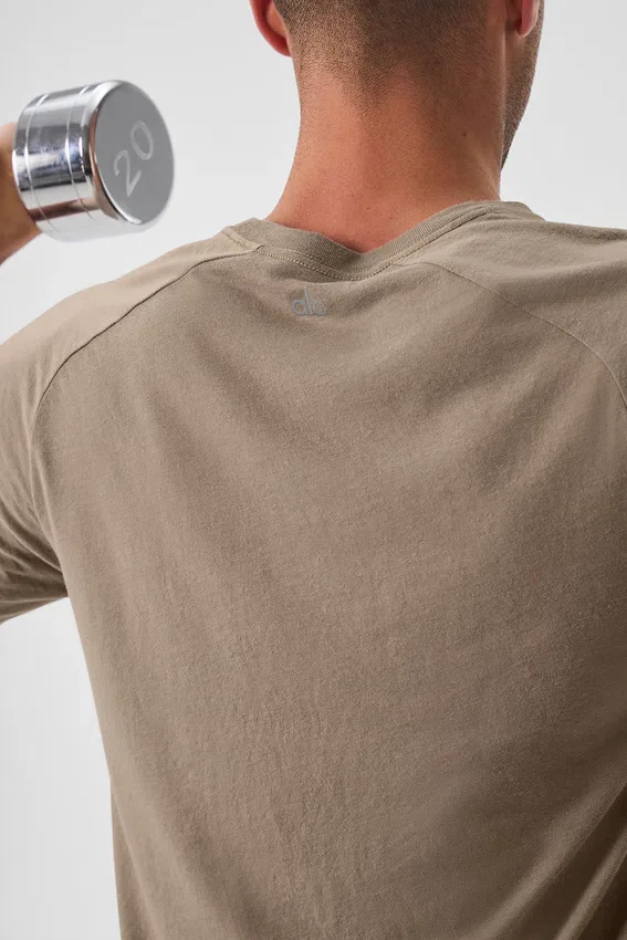 Triumph Raglan-T-shirt - Gravel
