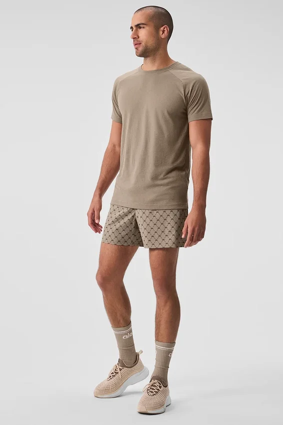 Triumph Raglan-T-shirt - Gravel